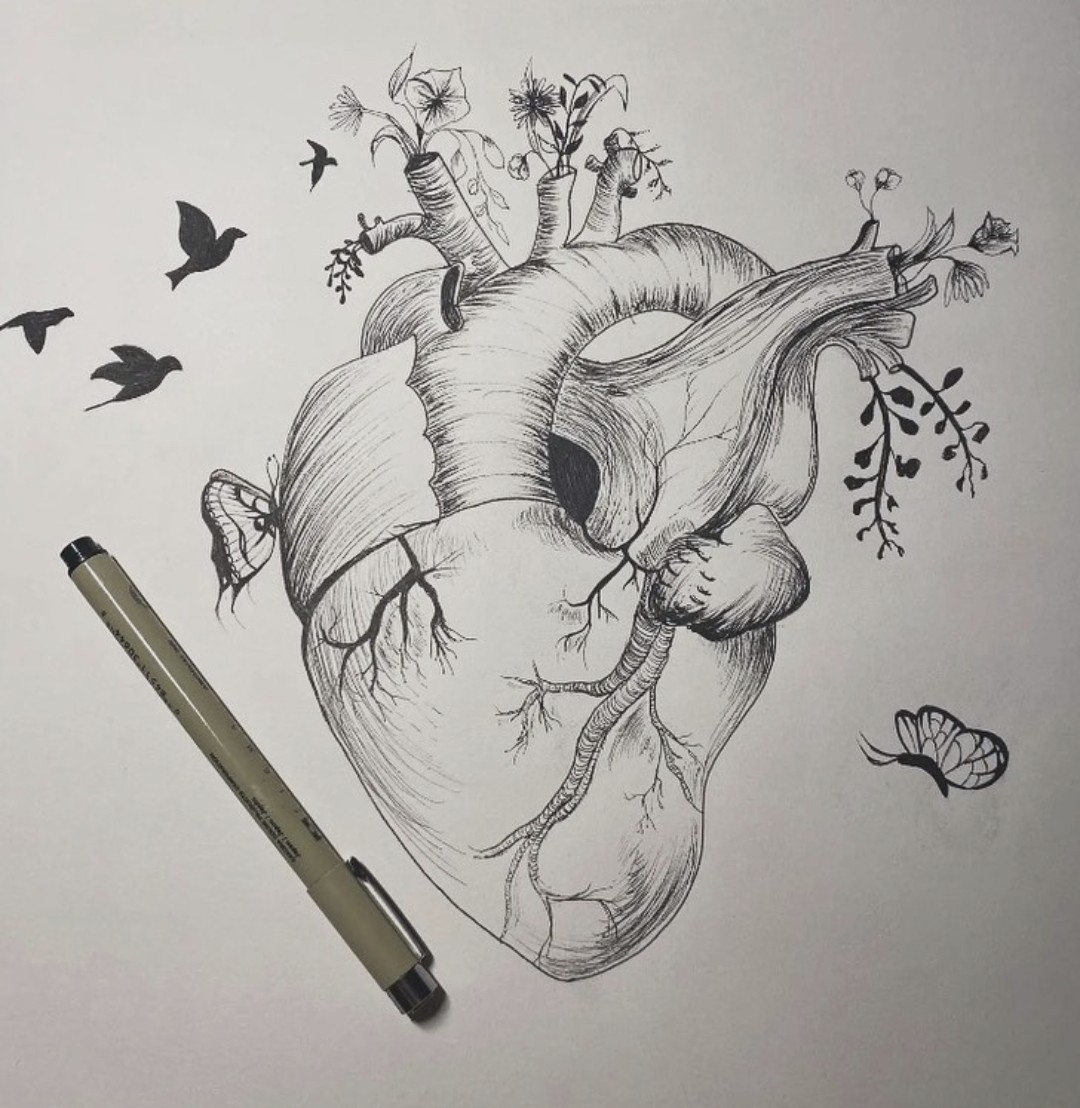 Anatomical heart drawing with branches, birds, and butterflies